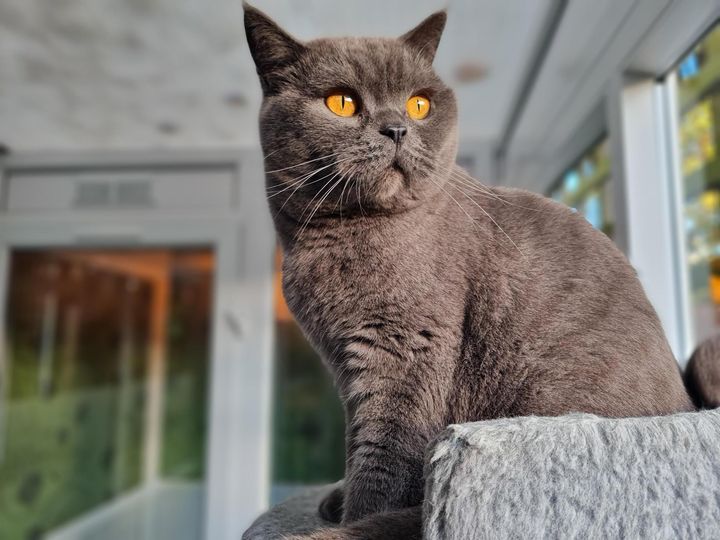The Mews October 2023